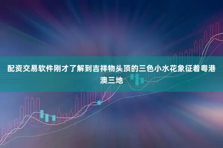 配资交易软件刚才了解到吉祥物头顶的三色小水花象征着粤港澳三地