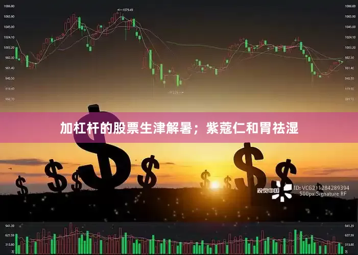加杠杆的股票生津解暑;紫蔻仁和胃祛湿